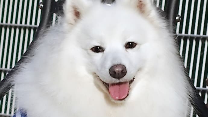 二年前の今日UPした日記です