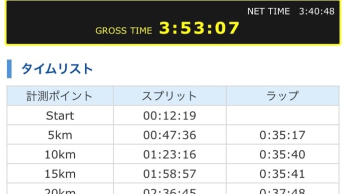1/5 西東京30K ペースランナー