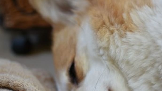 落ち着いてきたかな?