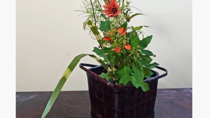 群馬県六合村の秋草│花信