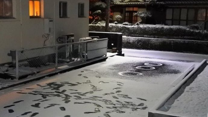 南国・幡多路も雪景色