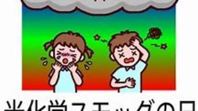 光化学スモッグの日!( 一一)