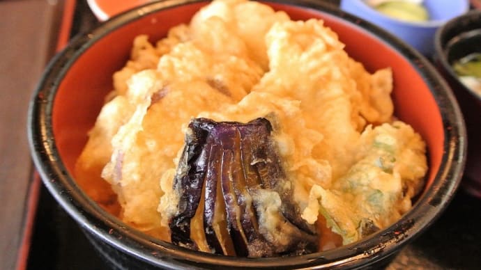 成田市、 『 錦谷 』 で ナマズ と ウナギ を食べました。