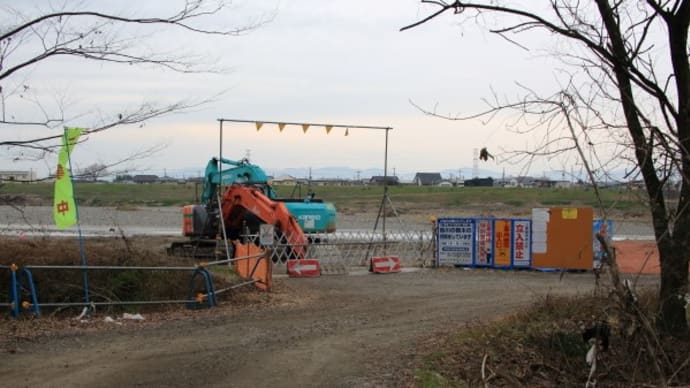 玉村 岩倉橋の白鳥2020