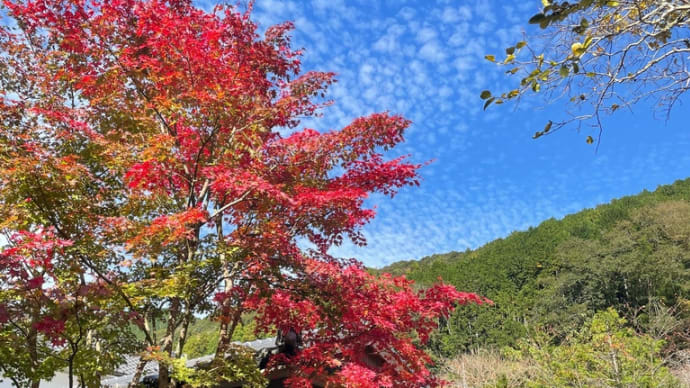 ゴルフと温泉の旅⛳️①