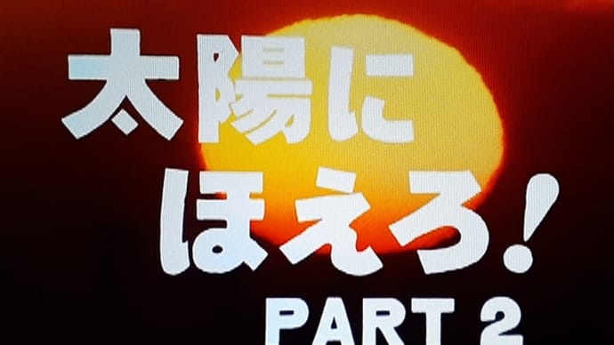 『太陽にほえろ!PART2』1986~1987