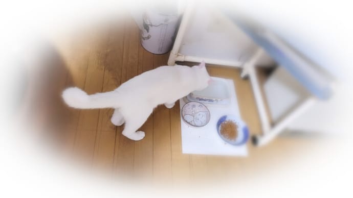 小まめに水分補給