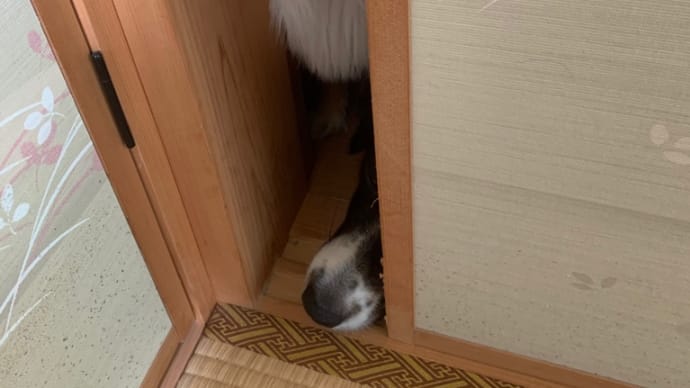 あっという間に5月末