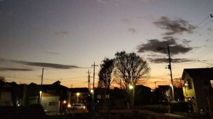 今日の夕方散歩