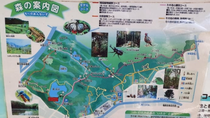 猪高緑地公園