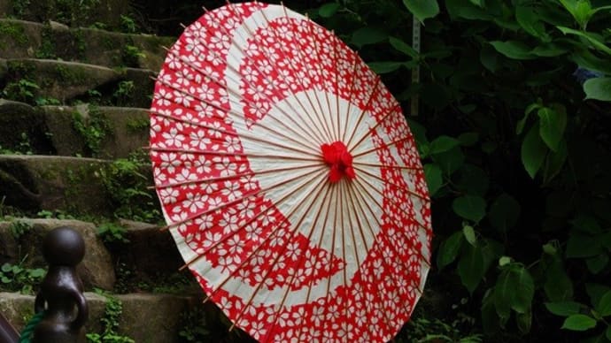 小雨の石段にアジサイ＆白赤和傘の女性
