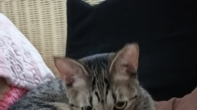 もうすぐ出発