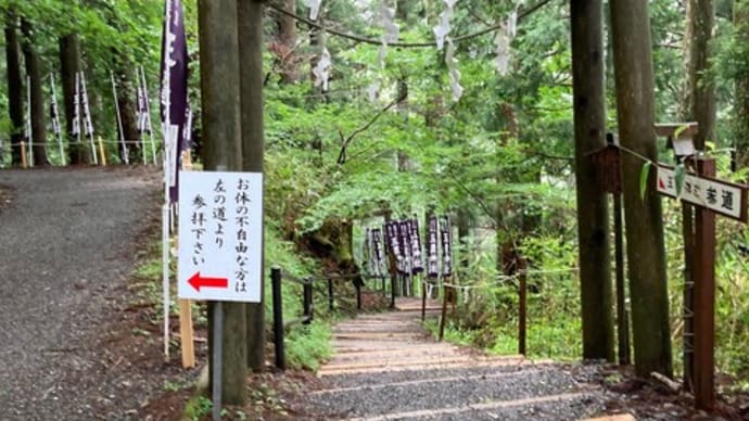 関西神社巡り