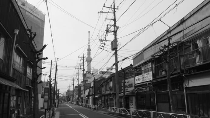 深夜に芸術を楽しむのって好き...