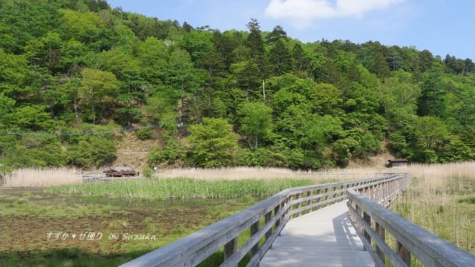 湯元温泉の源泉と湿原