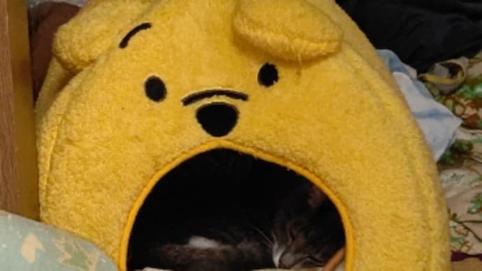 うちの子です。