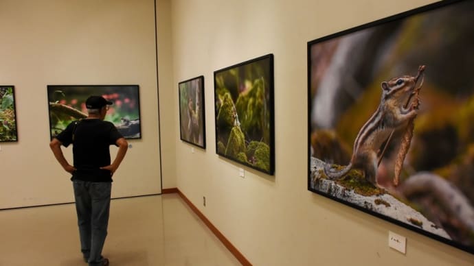 竹澤久夫写真展「シマリスの楽園」