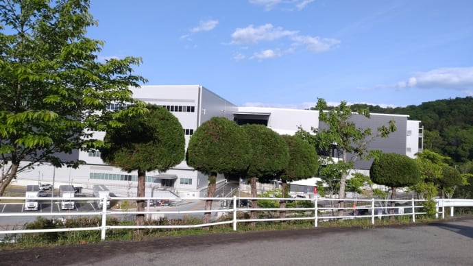 カイヅカイブキ刈り込み②