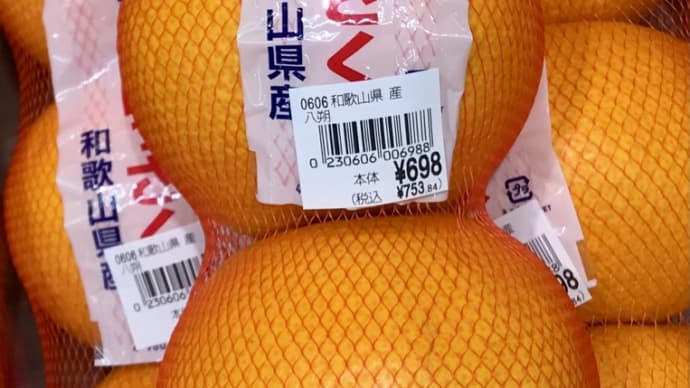 和歌山県産の八朔3個で税込753円〈英訳付〉