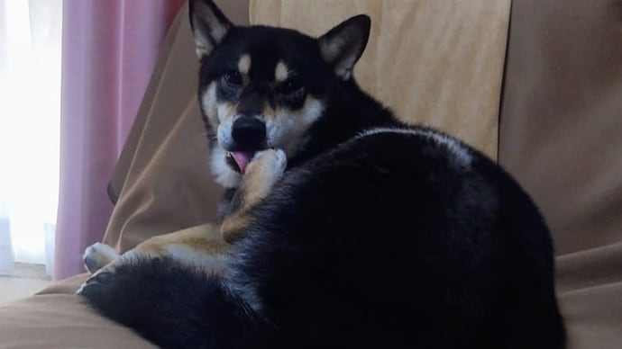 暑いです