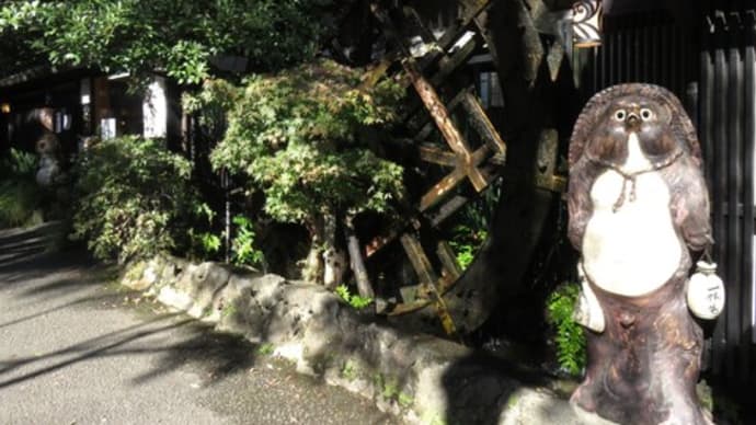 紅葉の深大寺を歩き、蕎麦を食す