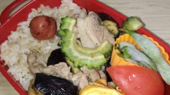 今日のお弁当7月8日