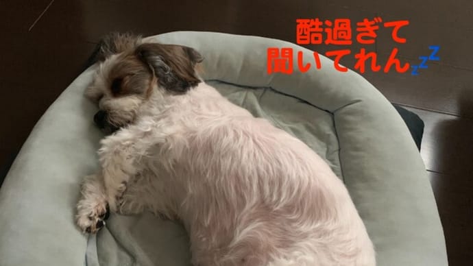 修理できないのか。