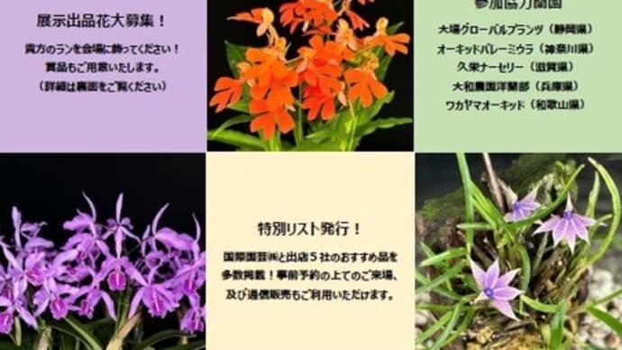 オープンハウス準備・取り込み整理