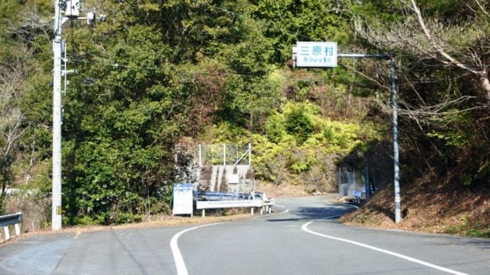 『バイカオウレン』~三原村・星ヶ丘公園「ヒメノボタンの里」