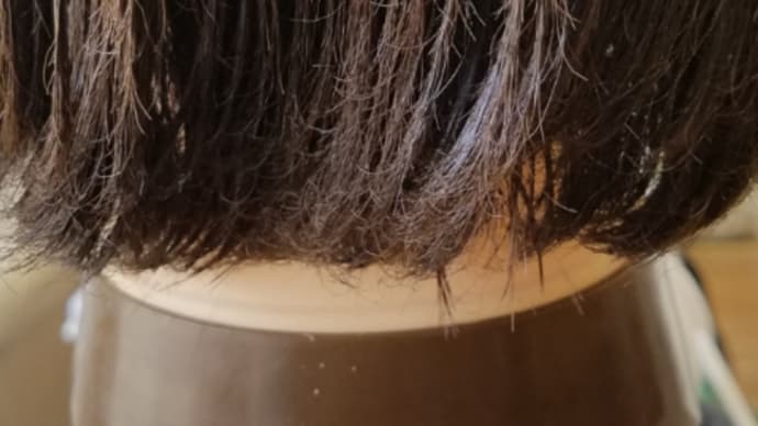 毛先のダメージは早めにメンテナンスしましょう🙋