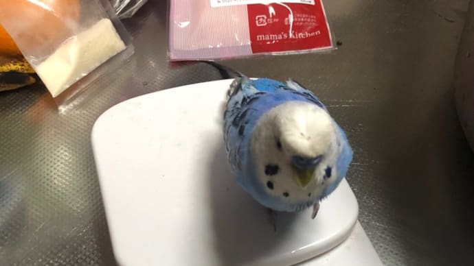 ぼく38グラム
