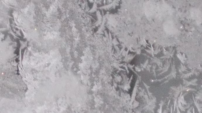 年末は寒波に大雪の恐れ有りだって。。。。