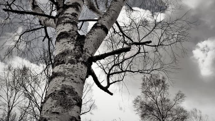 雪待月の空×Robert Frost