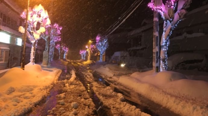 予報通りの大雪