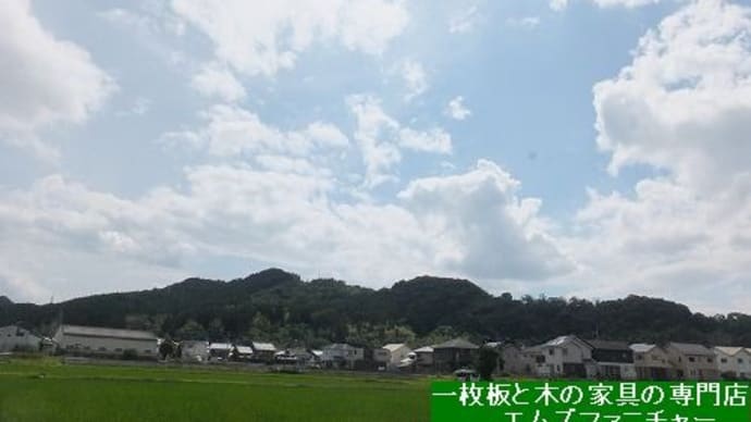 1586、今日は、晴れて気持ちがいいので、少し気分転換に時間を少し頂いてお散歩致しました。一枚板と木の家具の専門店エムズファニチャーです。