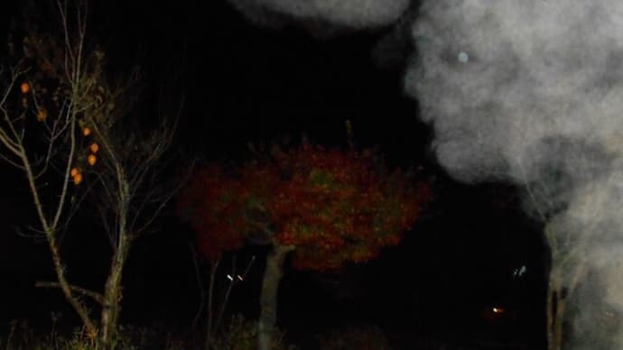 幽界からの訪問者 ~その20~