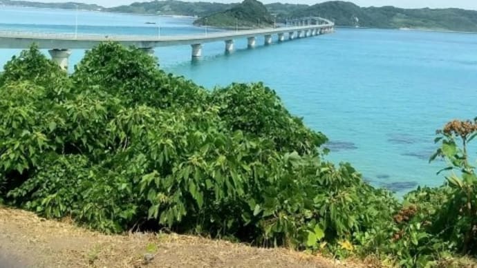 角島大橋へ