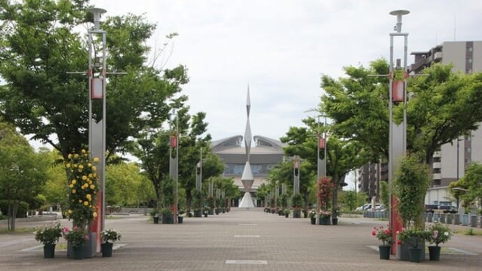 福山緑町公園のばら~2025年5月11日