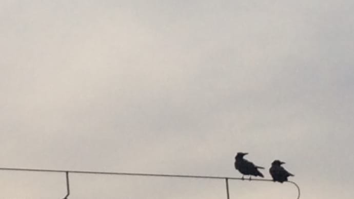 夕暮れ散歩