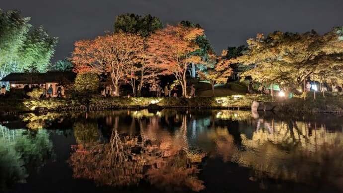 昭和記念公園　紅葉ライトアップ