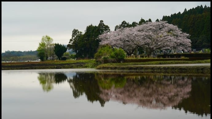 水鏡