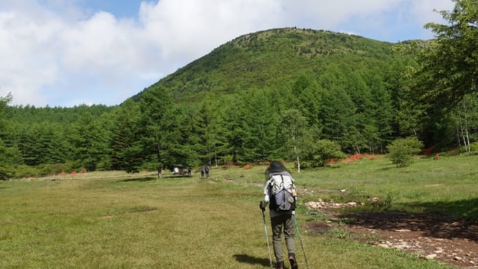 ツツジ咲く湯の丸山トレッキング
