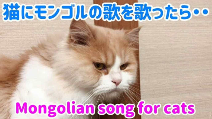 Gooブログ Goo Blog ハッシュタグ 面白い動画