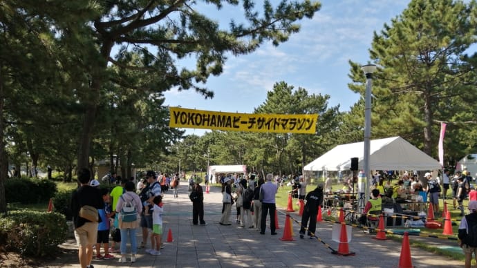 ペーサー(海の公園)