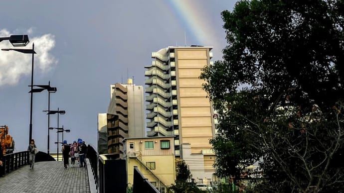 辰巳橋から