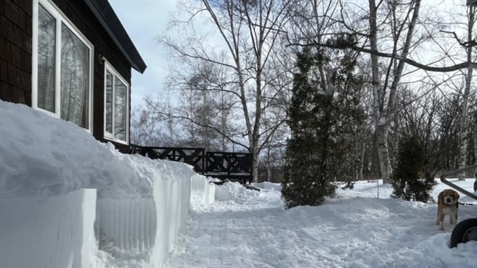 雪の状態