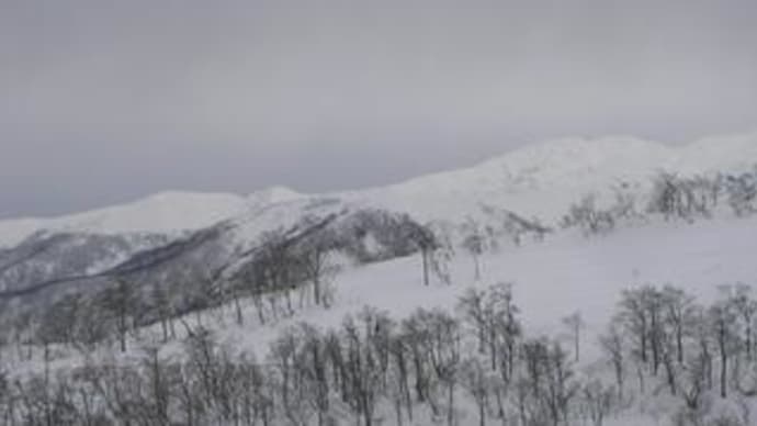 20日目(Ski:2007-2008)