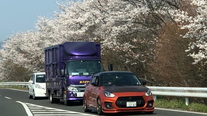 雨なので…