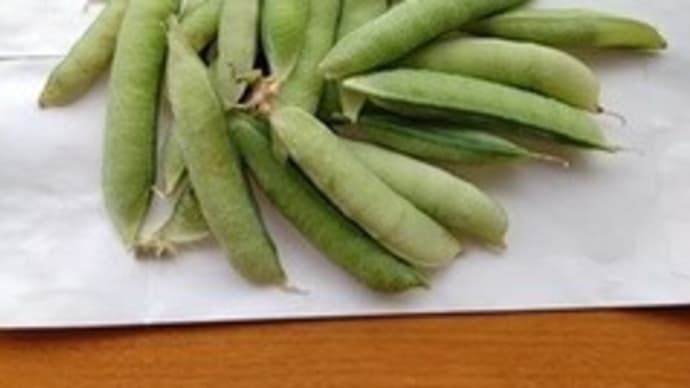 トロイの木馬に感染したって! エンドウ豆の収穫