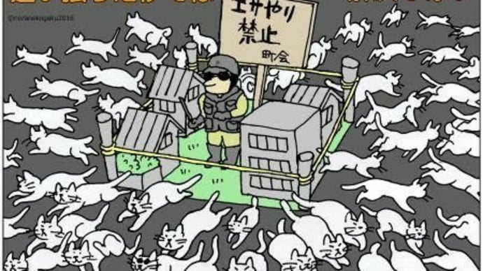 餌やり禁止で野良猫は増える